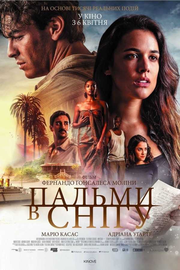 Пальми в снігу / Засніжені пальми постер