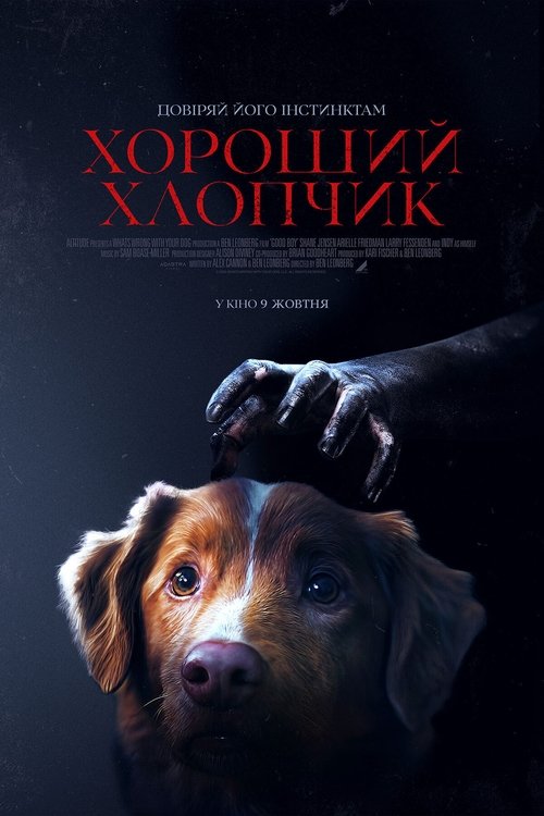 постер Хороший хлопчик онлайн в HD