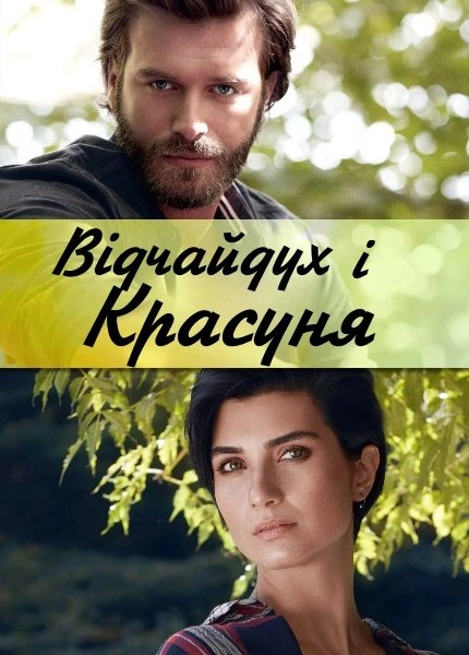 постер Смілива і красива / Відчайдух і Красуня 1 сезон онлайн в HD
