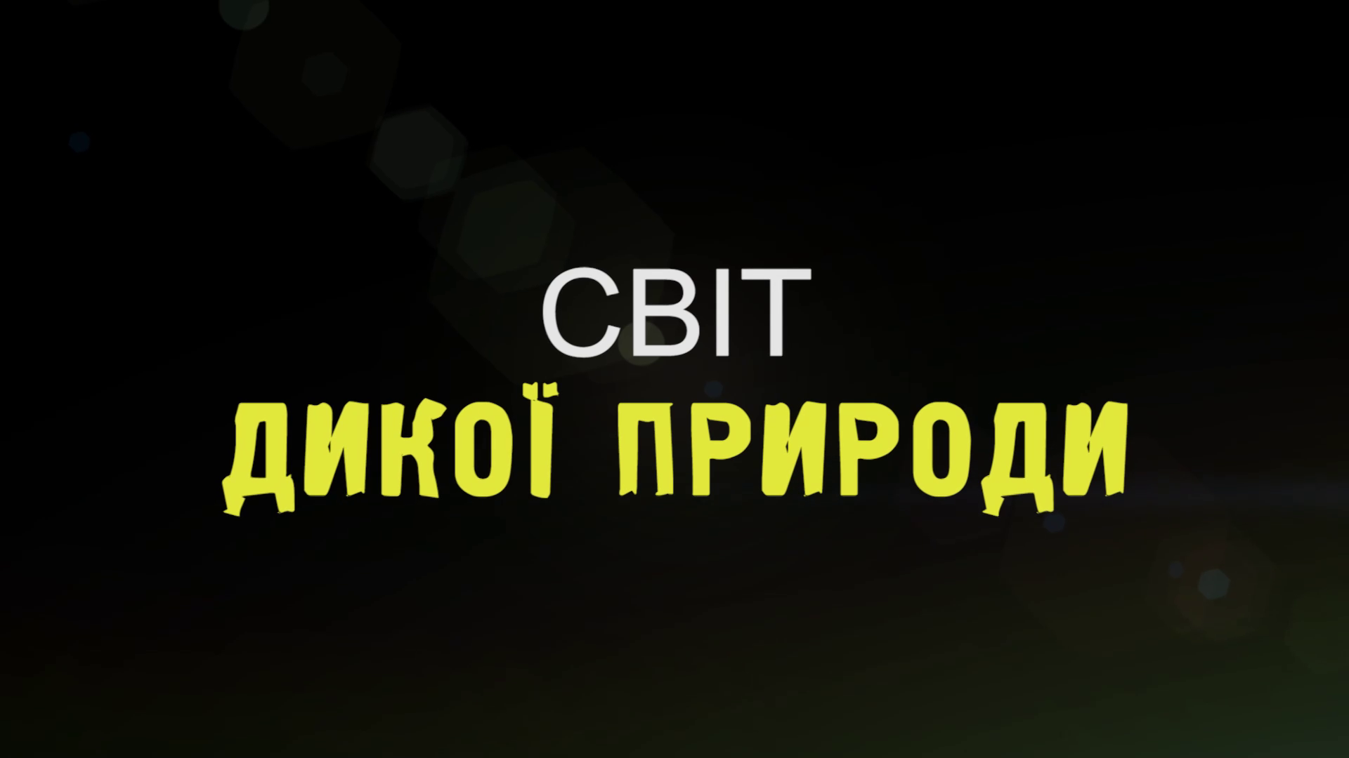 кадри з серіалу Світ дикої природи 1 сезон