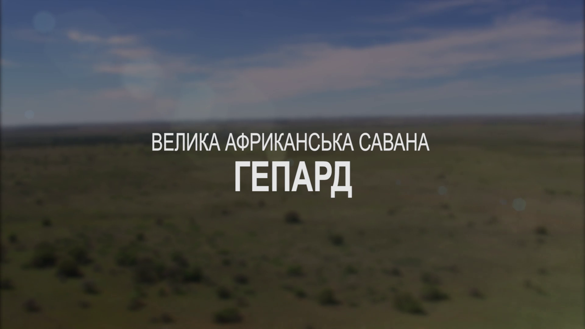 кадри з серіалу Світ дикої природи 1 сезон
