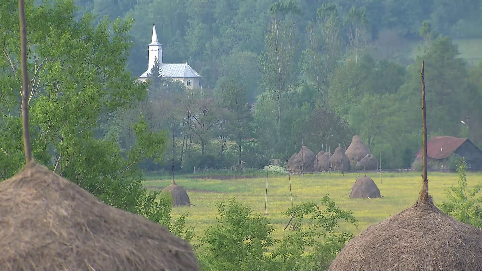 кадри з серіалу Дикі Карпати 1 сезон