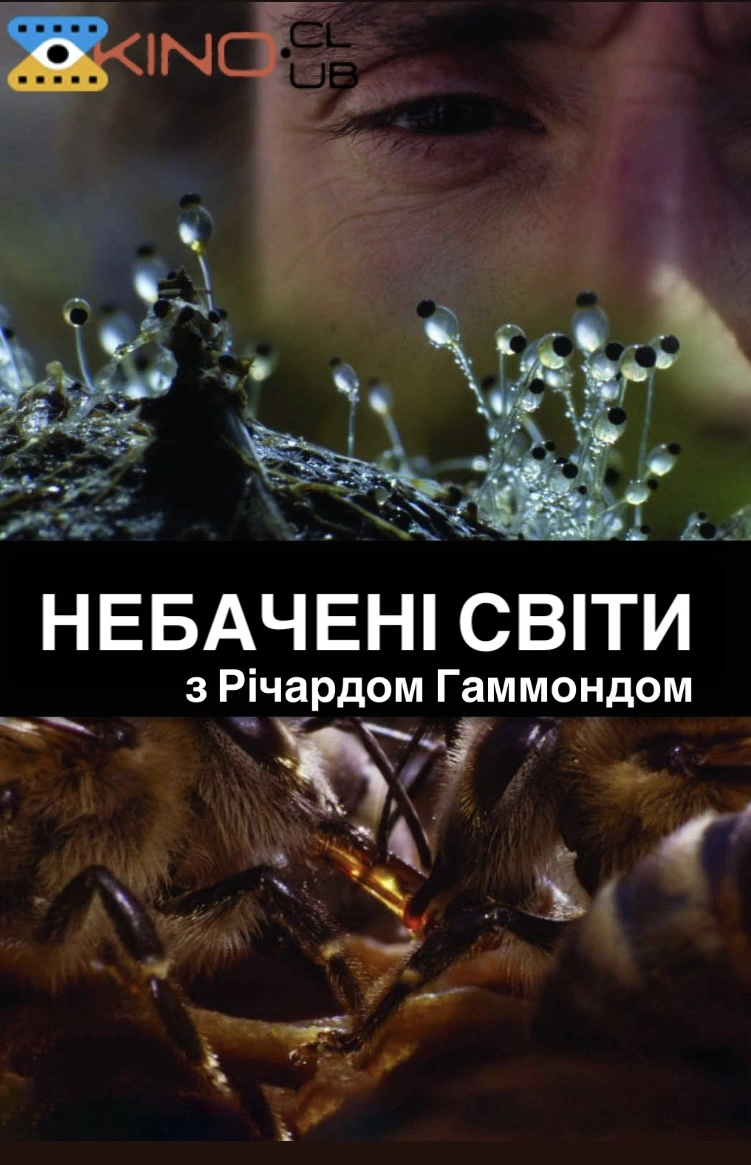 постер Річард Гаммонд. Небачені світи / Небачені світи з Річардом Гаммондом 1 сезон онлайн в HD