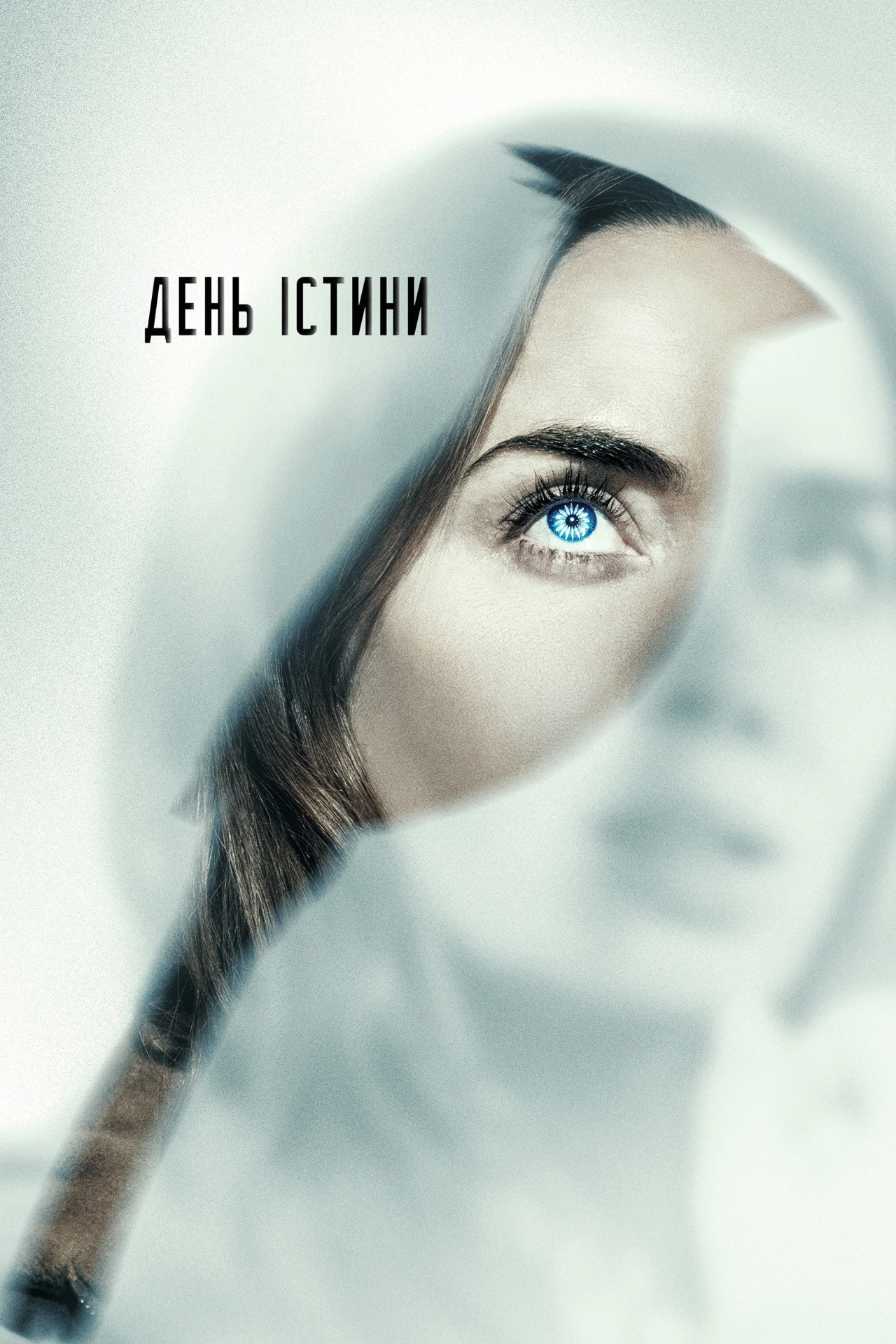 День істини постер