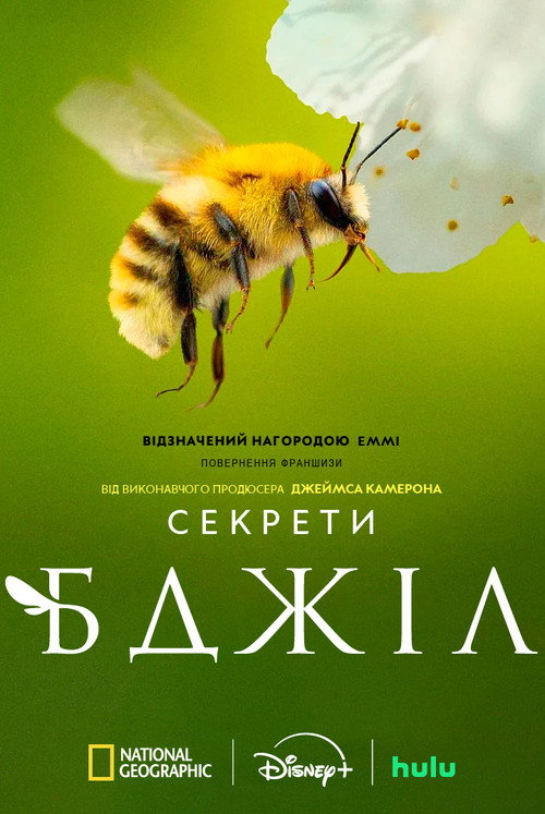 постер Секрети бджіл 1 сезон онлайн в HD