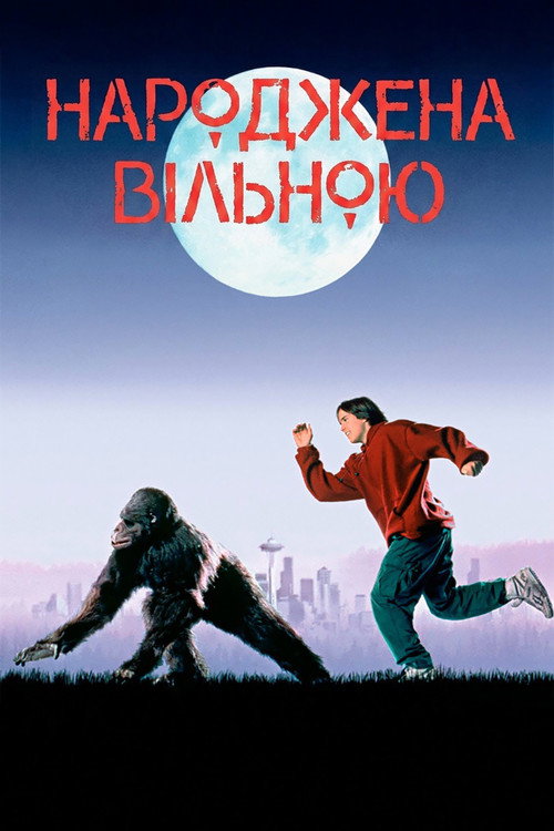 Народжена вільною постер