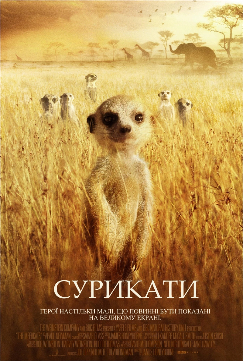 постер Сурикати онлайн в HD